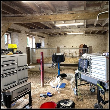 05 Mobiele oplossingen voor paardentandartsen.jpg